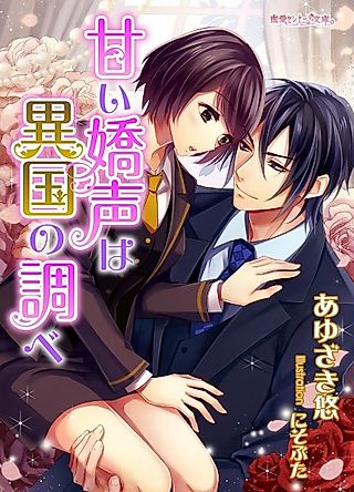 Cover image for the novel called Amai Kyousei wa Ikoku no Shirabe
