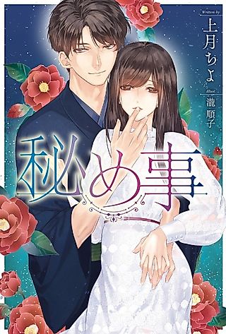Cover image for the novel called Himegoto