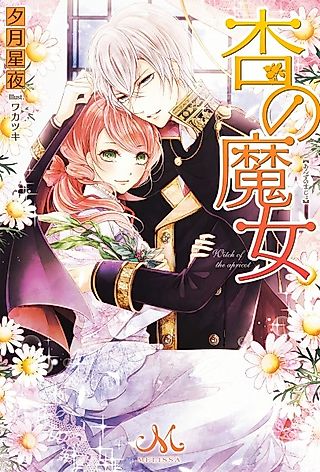 Cover image for the novel called Anzu no Majo