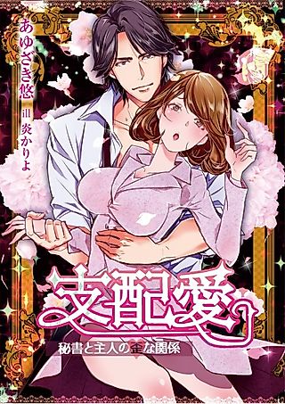 Cover image for the novel called Shihaiai: Hisho to Shujin no Ibitsu na Kankei