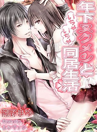 Cover image for the novel called Toshishita Nukumen to Ichaicha Doukyo Seikatsu