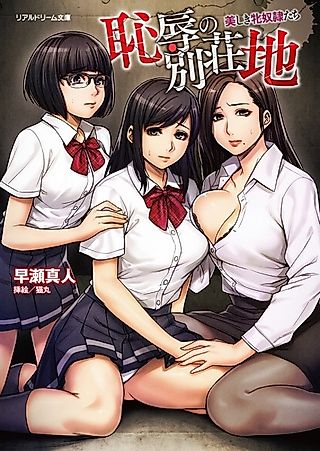 Cover image for the novel called Chijoku no Bessouchi: Utsukushiki Mesudorei-tachi
