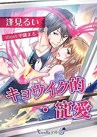Cover image for the novel called Kyouikuteki Chouai
