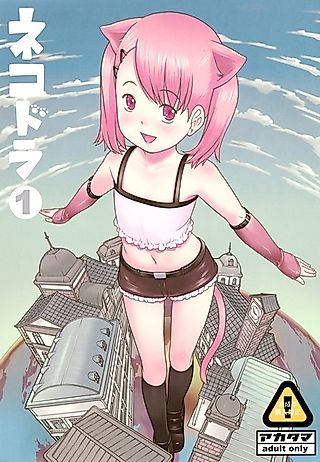 Cover image for the other called Nekodora