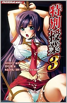 Cover image for the novel called Tokubetsu Jugyou 3 SLG