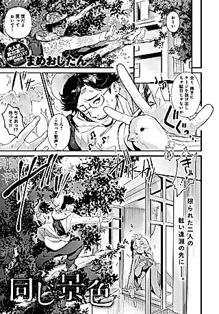 Cover image for the manga called The Same Sights