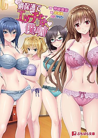 Cover image for the novel called Kahogo de Ecchi na Boku no Ane