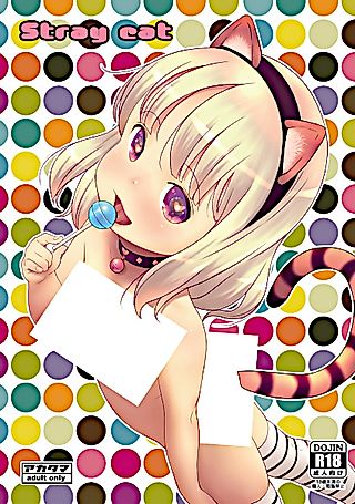 Cover image for the other called Stray cat