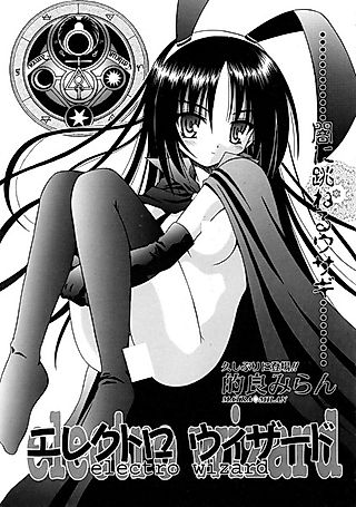 Cover image for the other called Electro Wizard