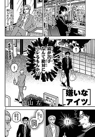 Cover image for the other called Kirai na Aitsu