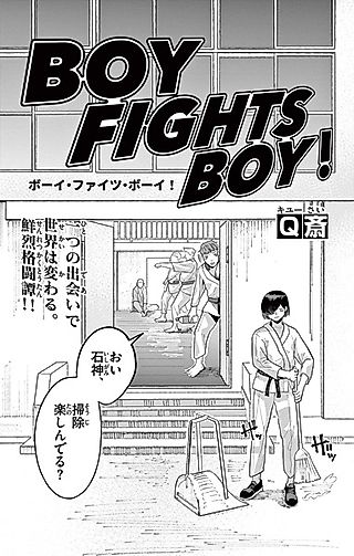Cover image for the other called BOY FIGHTS BOY!