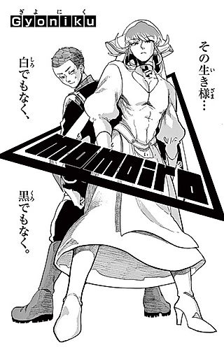 Cover image for the other called momoiro