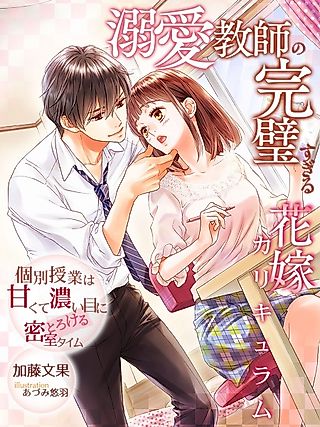Cover image for the novel called Dekiai Kyoushi no Kanpeki sugiru Hanayome Curriculum: Kobetsu Jugyou wa Amakute Koime ni Torokeru Misshitsu Time