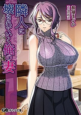Cover image for the novel called Rinjin ni Kowasareteiku Ore no Tsuma