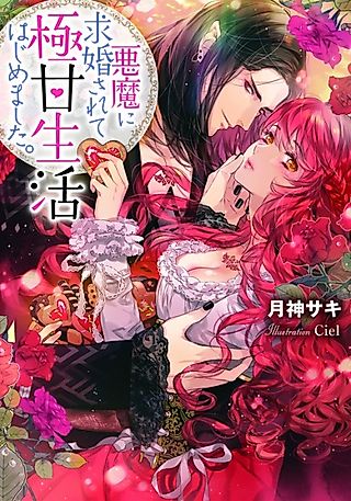 Cover image for the novel called Akuma ni Kyuukon sarete Gokuama Seikatsu Hajimemashita.