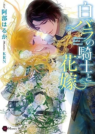 Cover image for the novel called Shirobara no Kishi to Hanayome