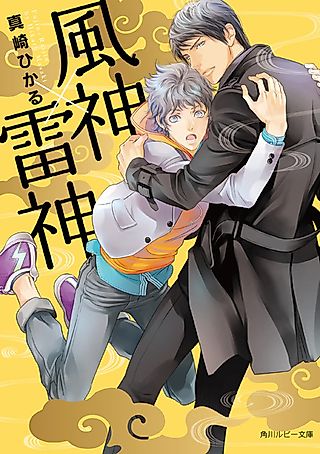 Cover image for the novel called Kami x Kami Series