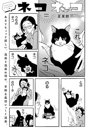 Cover image for the other called Neko Neko