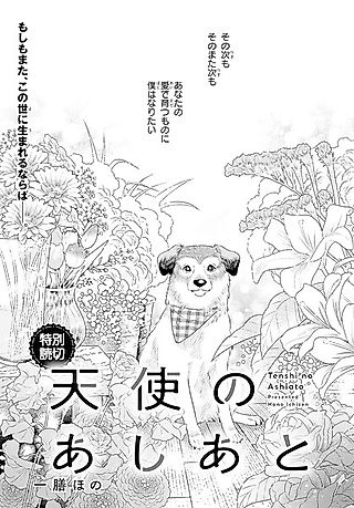 Cover image for the other called Tenshi no Ashiato