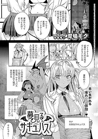 Cover image for the other called Yumemiru Succubus