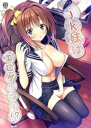 Cover image for the other called JK Imouto wa Ero Gamer!?
