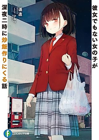 Cover image for the novel called Kanojo demo Nai Onnanoko ga Shinya Niji ni Chaahan Tsukuri ni Kuru Hanashi