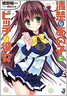 Cover image for the novel called Seiso na Ano Ko to Bitch na Kanojo