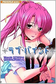 Cover image for the novel called Love Bind