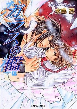 Cover image for the novel called Glass no Ori