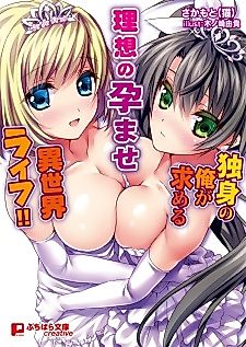 Cover image for the novel called Dokushin no Ore ga Motomeru Risou no Isekai Life!!