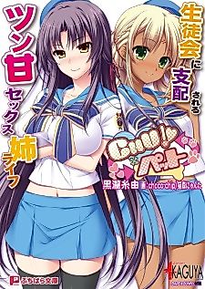 Cover image for the novel called Chu x Pet: Seitokai ni Shihai sareru Tsun-Ama Sex Ane Life