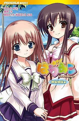 Cover image for the novel called Hara Miko