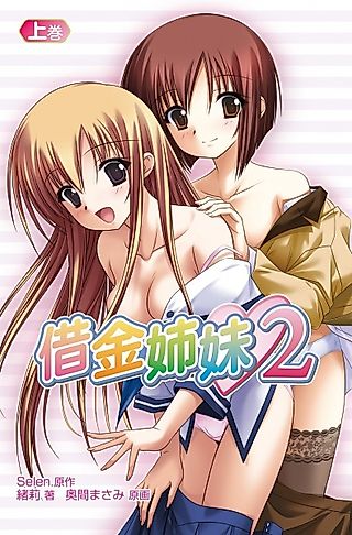 Cover image for the novel called Shakkin Shimai 2