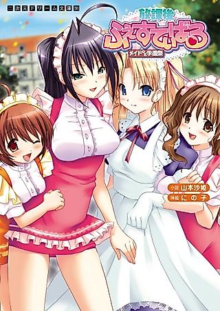 Cover image for the novel called Houkago Festival: Maid de Gakuensai