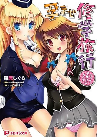 Cover image for the novel called Haramase Shuugaku Ryokou: Souda, Kozukuri ni Ikou