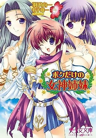 Cover image for the novel called Boku dake no Megami Shimai