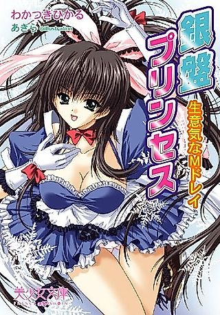 Cover image for the novel called Ginban Princess: Namaiki na M Dorei