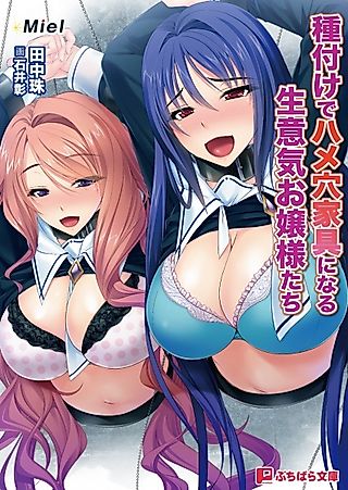 Cover image for the novel called Tanetsuke de Hame Ana Kagu ni Naru Namaiki Ojousama-tachi