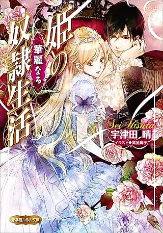 Cover image for the novel called Hime no Karei naru Dorei Seikatsu