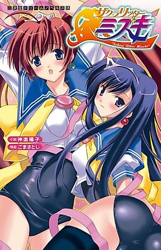 Cover image for the novel called Sakral Ritter Mizuki