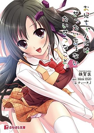 Cover image for the novel called Oniichan ni wa Zettai Ienai Taisetsu na Koto.
