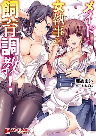 Cover image for the novel called Maid to Onnashitsuji wo Shiiku Choukyou