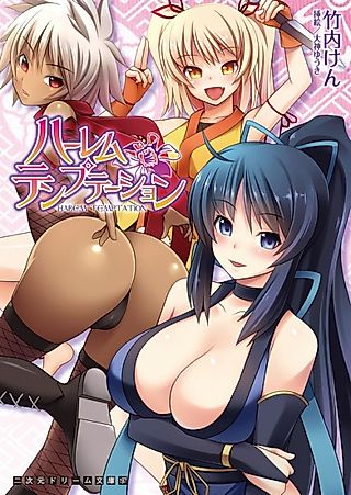 Cover image for the novel called Harem Temptation