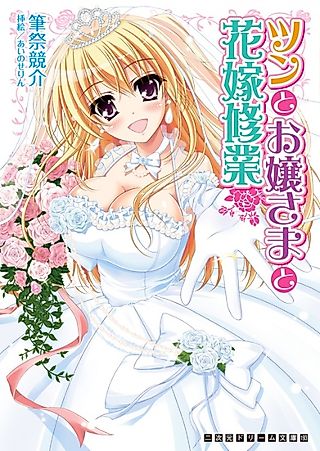 Cover image for the novel called Tsun to Ojousama to Hanayome Shuugyou