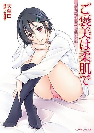 Cover image for the novel called Gohoubi wa Yawahada de: Akogare no Osananajimi wa Seitokaichou