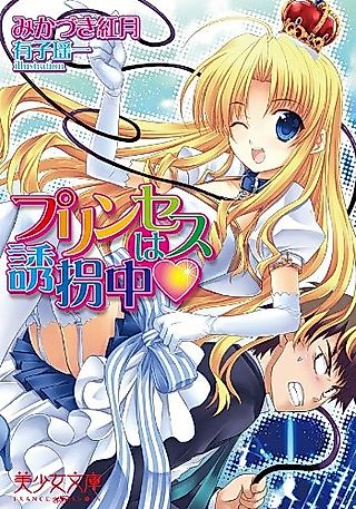 Cover image for the novel called Princess wa Yuukaichuu♥