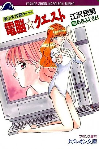 Cover image for the novel called Dennou☆Quest: Bishoujo Kouryaku Game