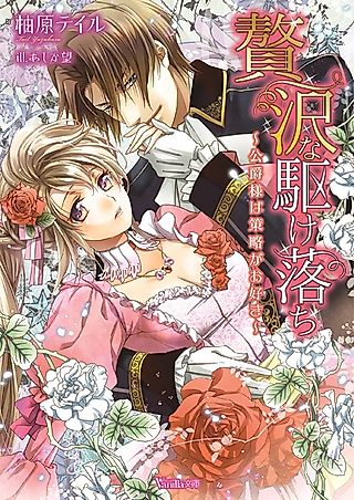 Cover image for the novel called Zeitaku na Kakeochi: Koushaku-sama wa Sakuryaku ga Osuki