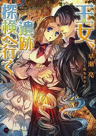 Cover image for the novel called A princess goes to remains