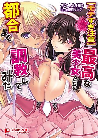 Cover image for the novel called [Motesugi Chuui] Saikou no Bishoujo-tachi wo Tsugou Yoku Choukyou shitemita